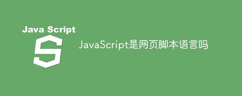 JavaScript是网页脚本语言吗