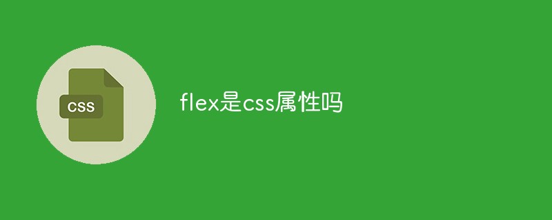 flex是css属性吗